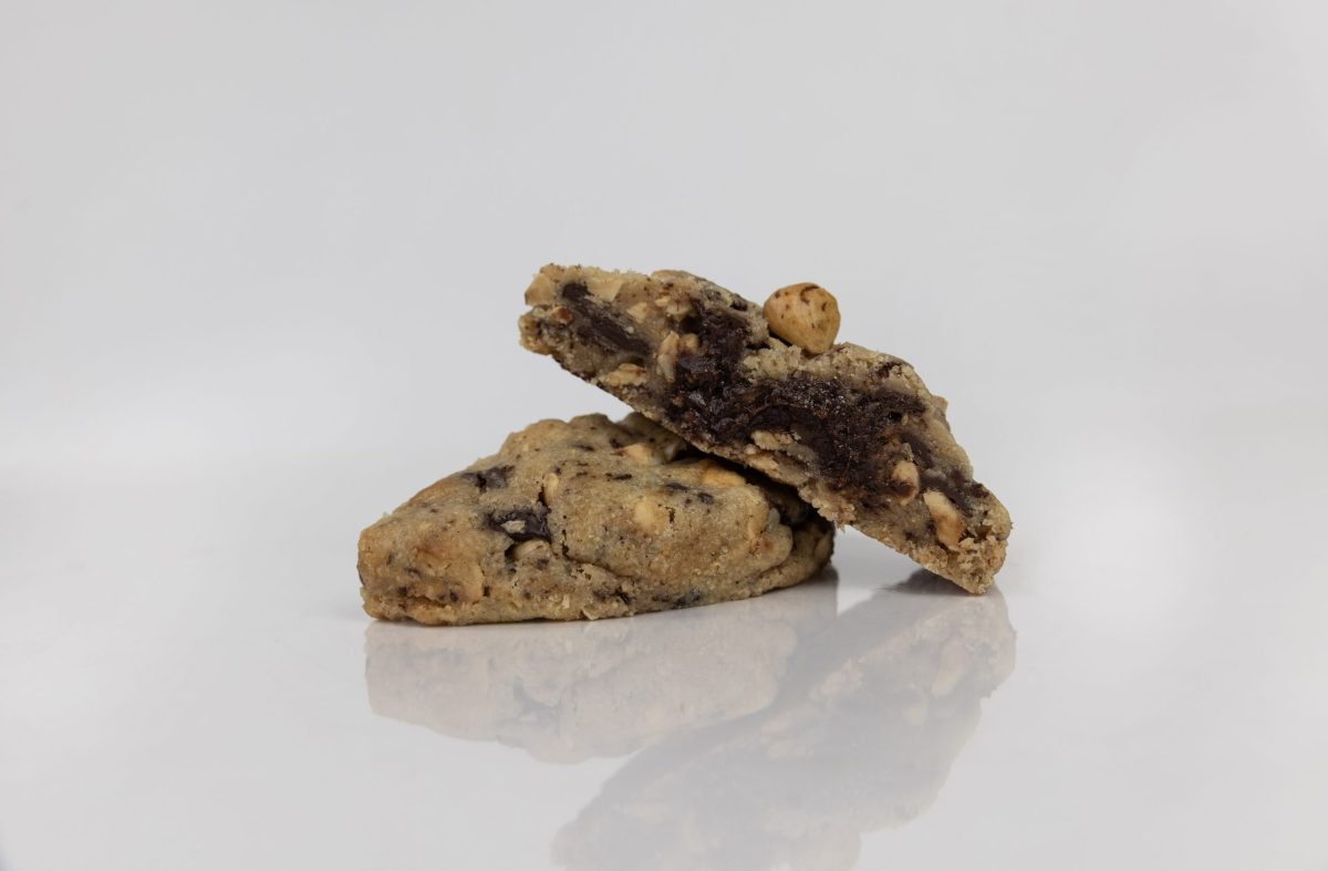 Čoko - Lískáč - Obrázek 4
